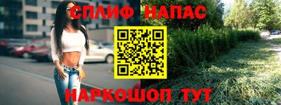 твердый Гай