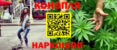 jwh Гатчина