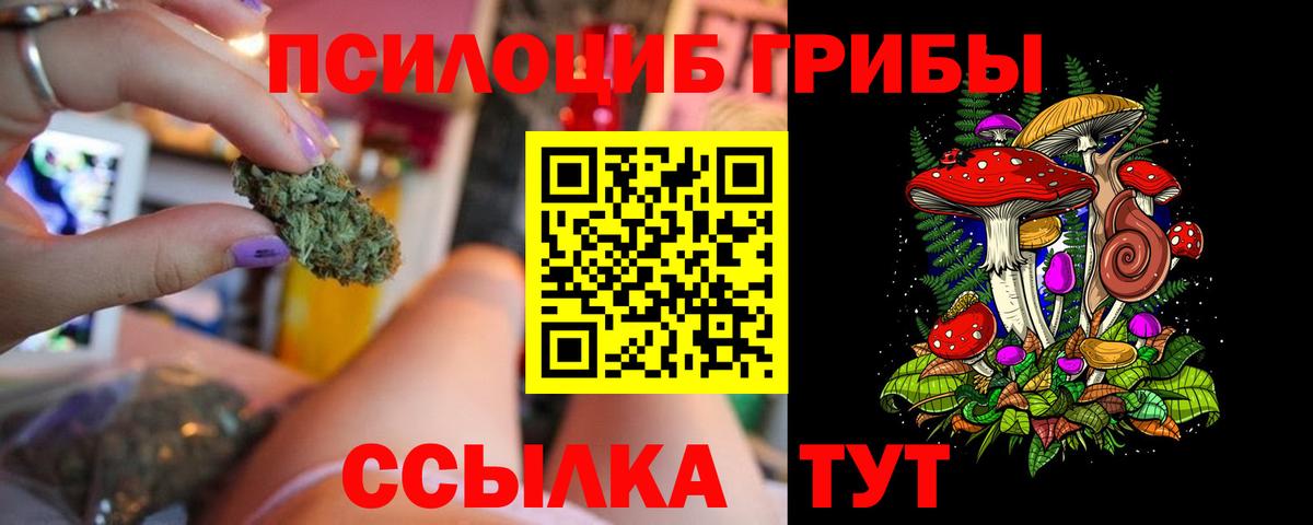 Гатчина  Псилоцибиновые грибы MAGIC MUSHROOMS  Псилоцибиновые грибы Cubensis  Вход с VPN 